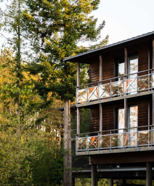 vue arbres avec feuilles hotel devanture - sejour en bretagne – domaine de cice blossac